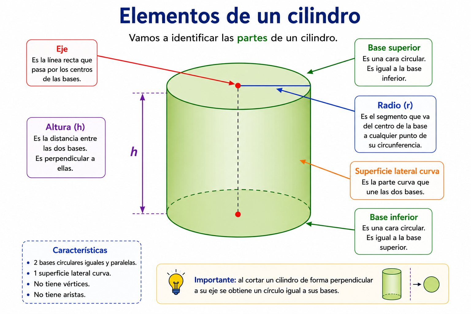 Elementos de un cilindro