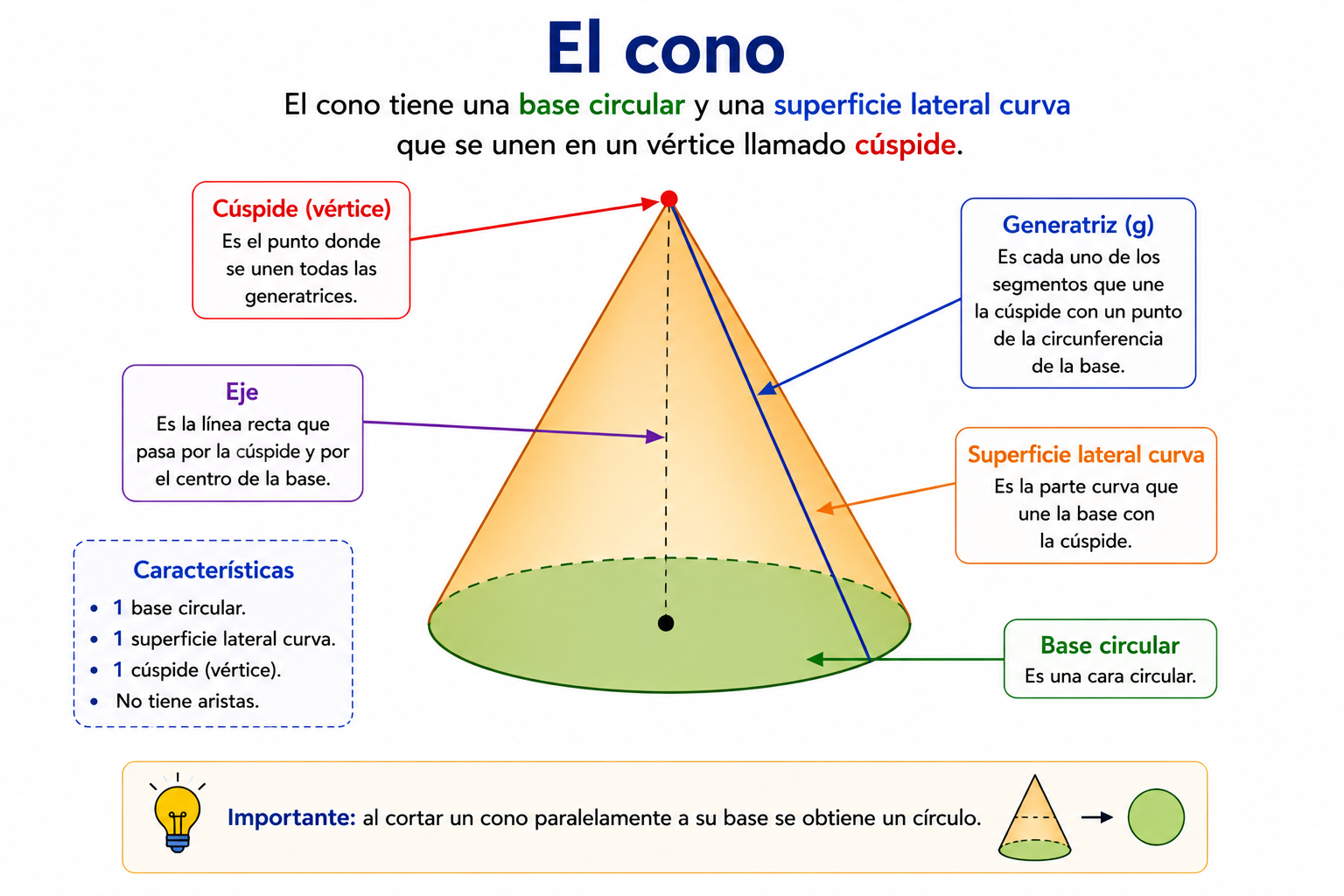 Cono