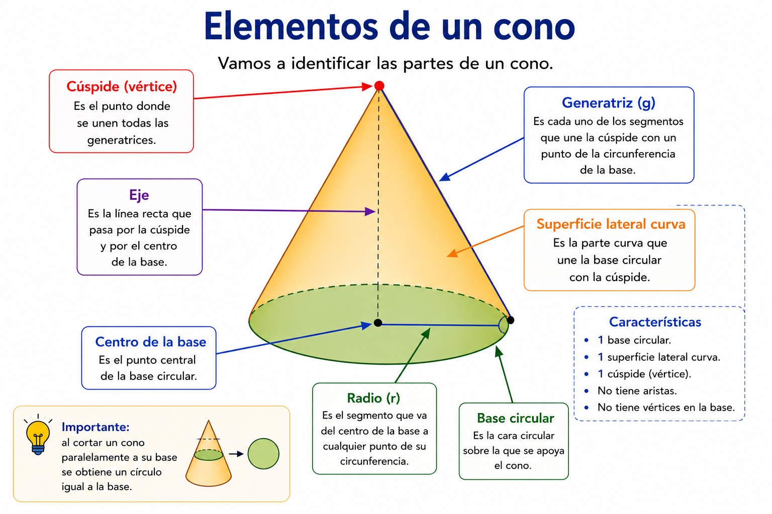 Elementos de un cono