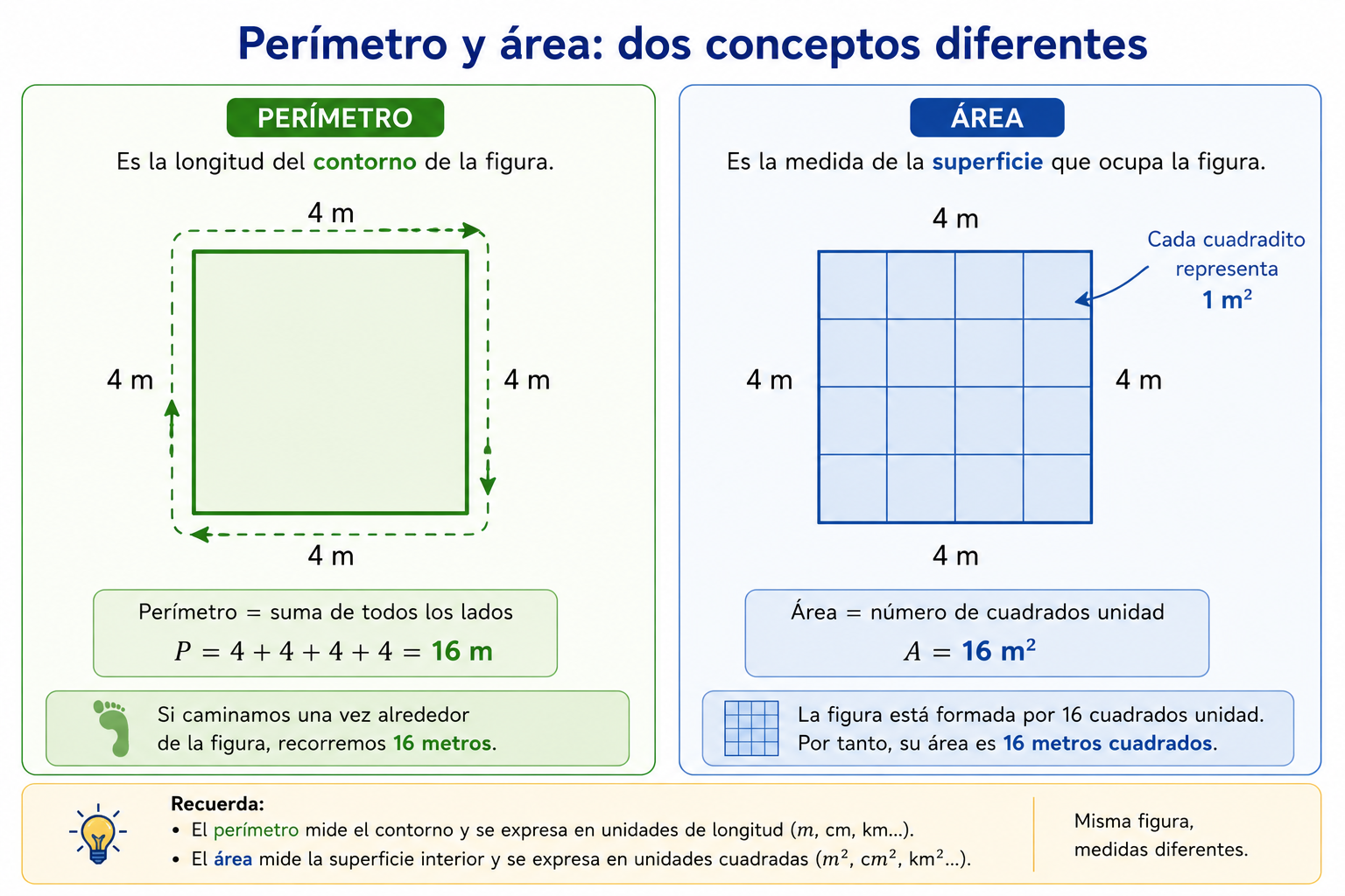 Perímetro y área son conceptos diferentes