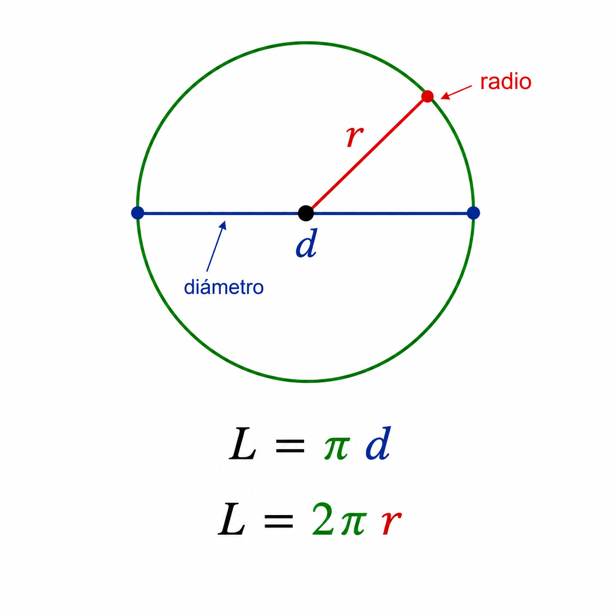 Longitud de una circunferencia